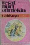 Çalıkuşu / 13