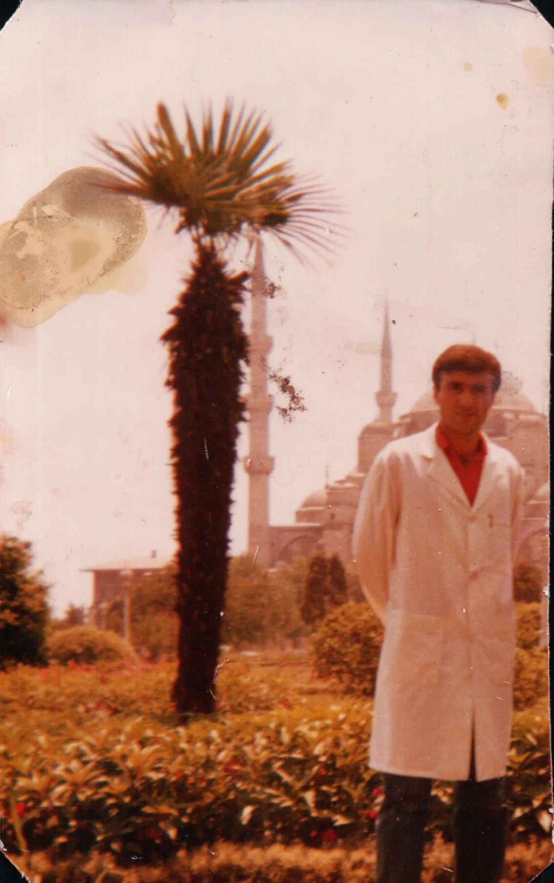 MOLEKÜLER BİYOLOJİK ÂLEM